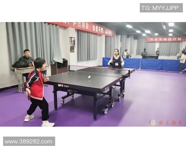 乒乓球技艺探秘：深入分析西安乒乓球队的防守战术与策略