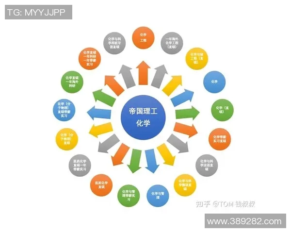 上海排球队战术解析：聚焦技术与团队协作的完美结合