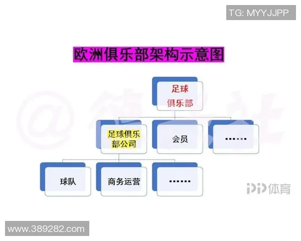 南京足球队球员个人能力深度对比与战术影响分析